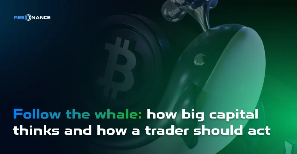Follow the whale: how big capital thinks and how a trader should act
