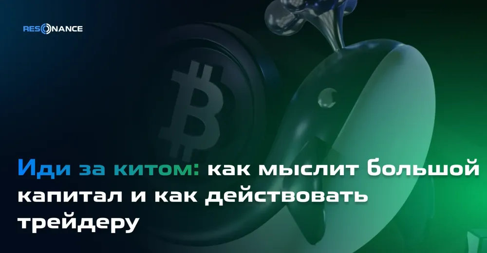 Иди за китом: как мыслит большой капитал и как действовать трейдеру